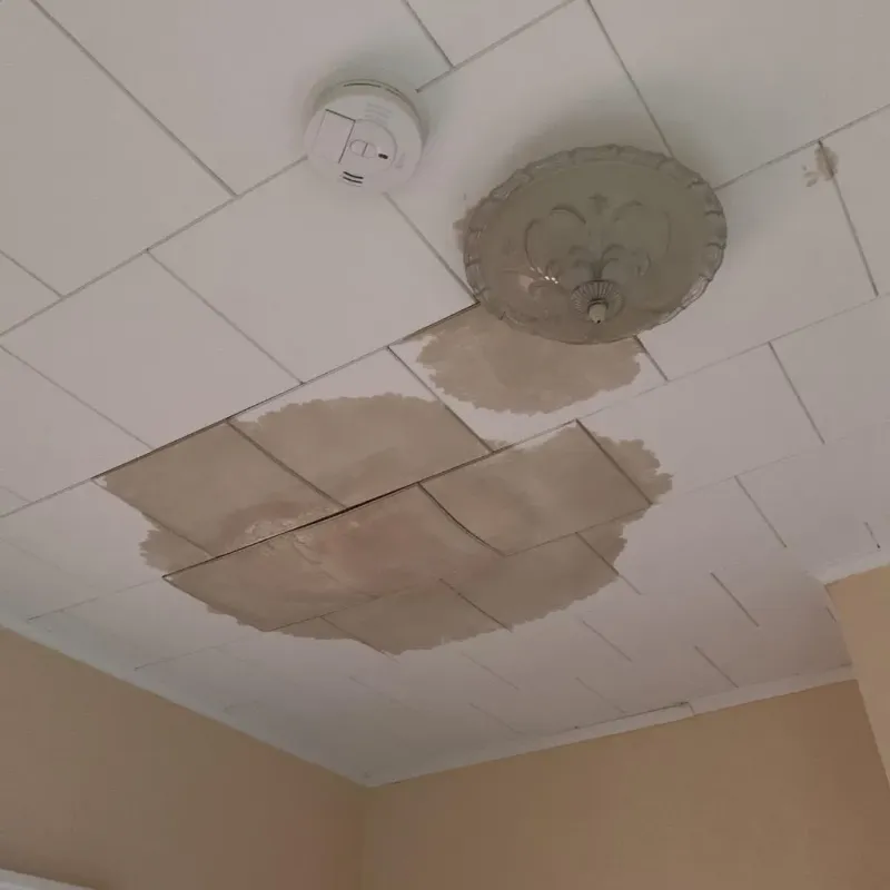 Ceiling Water Damage Repair in Terre du Lac, MO