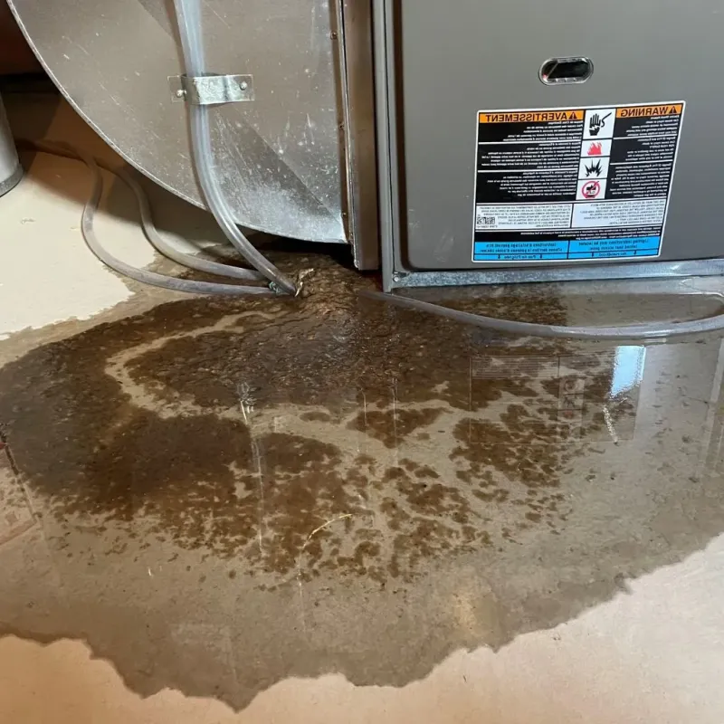 Pipe Burst and Leak Restoration in Terre du Lac, MO