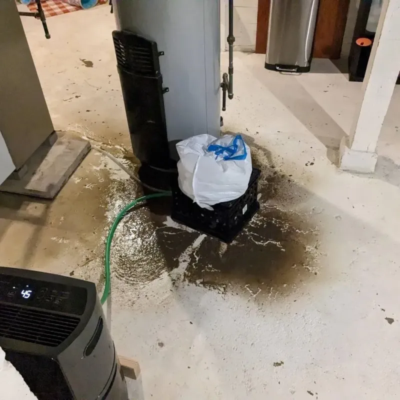Sewage Backup Cleanup Service in Terre du Lac, MO